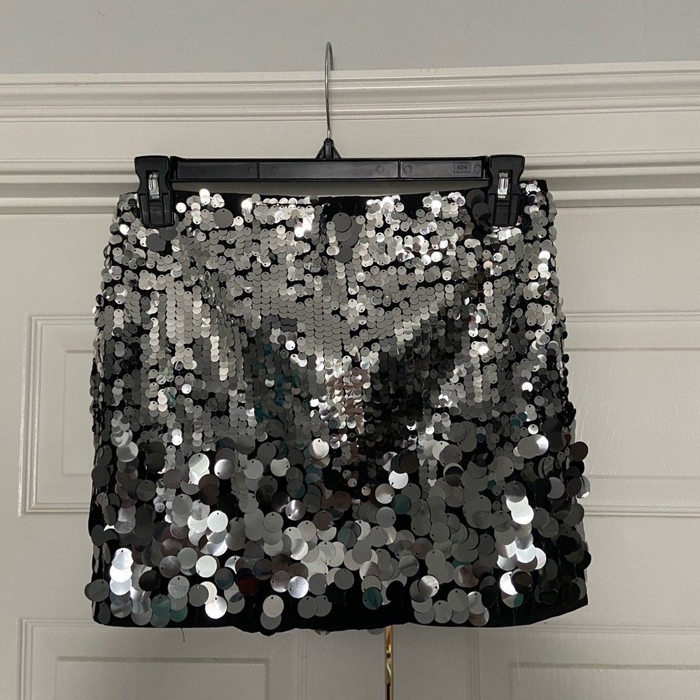 Silver Sequin Skirt